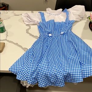 Dorothy Adult Costume, Wizard of Oz, Runs small